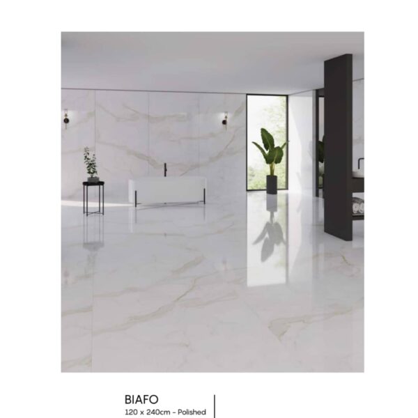 BIAFO - Image 3